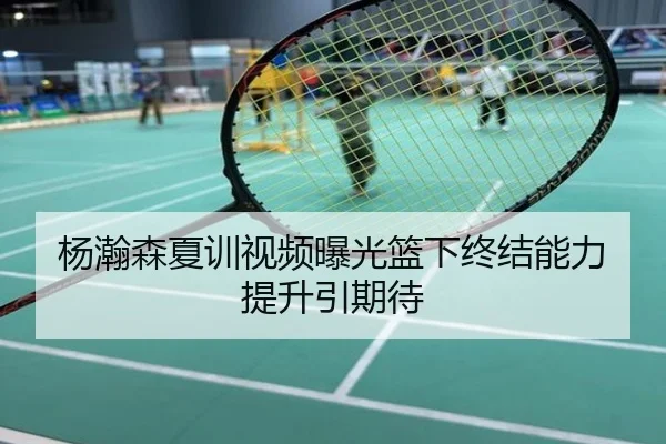 杨瀚森夏训视频曝光篮下终结能力提升引期待