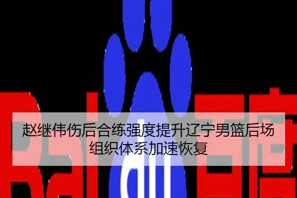 赵继伟伤后合练强度提升辽宁男篮后场组织体系加速恢复