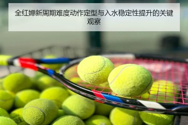 全红婵新周期难度动作定型与入水稳定性提升的关键观察